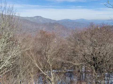 Black Bear Run, Mars Hill, NC 28754 photo 4