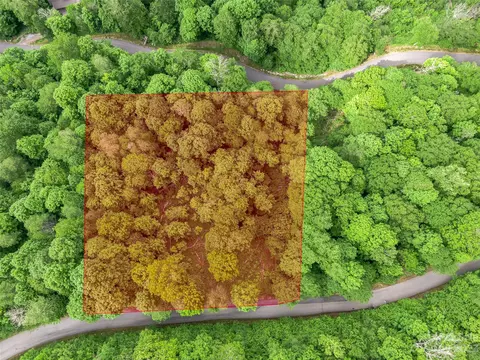 Black Bear Run, Mars Hill, NC 28754 photo 9