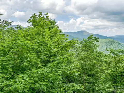 Black Bear Run, Mars Hill, NC 28754 photo 14