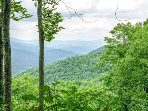 Black Bear Run, Mars Hill, NC 28754 photo 6