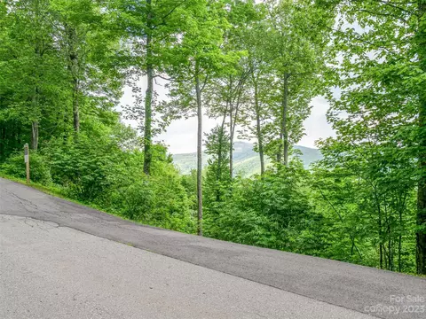 Black Bear Run, Mars Hill, NC 28754 photo 7