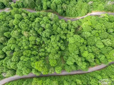 Black Bear Run, Mars Hill, NC 28754 photo 8