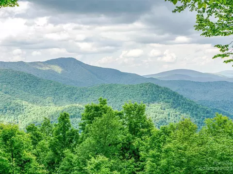 Black Bear Run, Mars Hill, NC 28754 photo 5