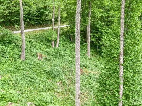 Black Bear Run, Mars Hill, NC 28754 photo 15