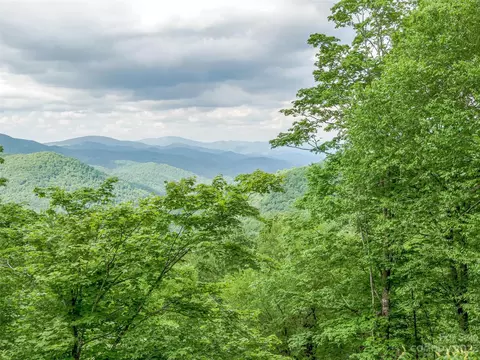 Black Bear Run, Mars Hill, NC 28754 photo 13
