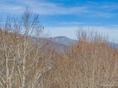 Black Bear Run, Mars Hill, NC 28754 photo 2