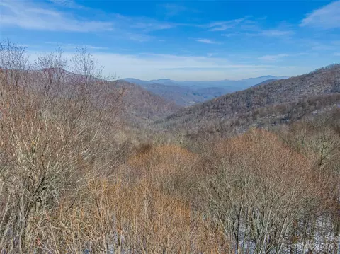 Black Bear Run, Mars Hill, NC 28754 photo 6