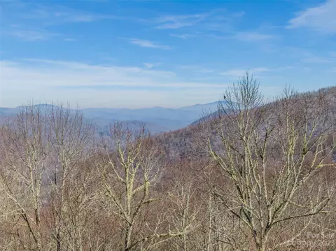 Black Bear Run, Mars Hill, NC 28754 photo 6