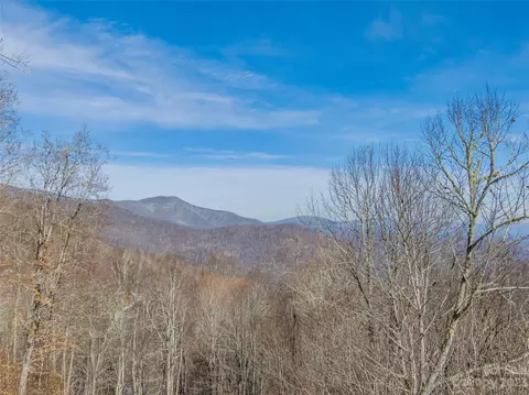 Black Bear Run, Mars Hill, NC 28754 photo 5