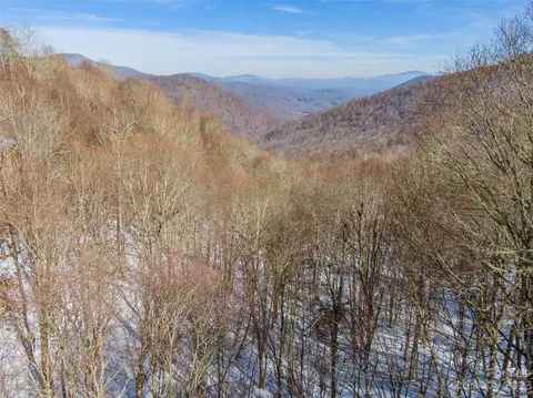 Black Bear Run, Mars Hill, NC 28754 photo 6
