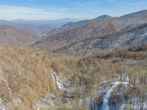 Black Bear Run, Mars Hill, NC 28754 photo 5