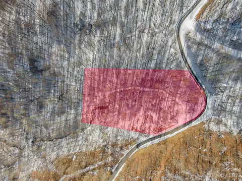 Black Bear Run, Mars Hill, NC 28754 photo 3