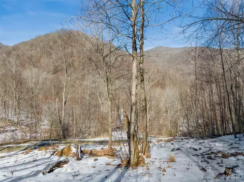 Settlement Way, Mars Hill, NC 28754 photo 5