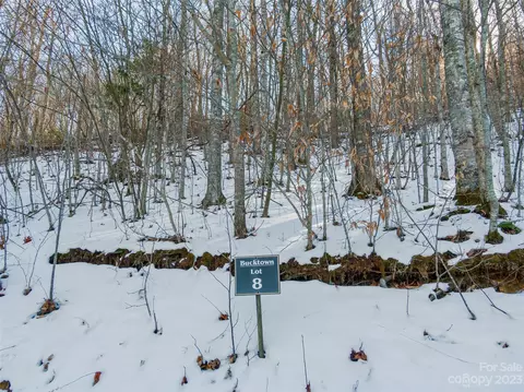 Settlement Way, Mars Hill, NC 28754 photo 2