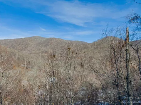Settlement Way, Mars Hill, NC 28754 photo 5