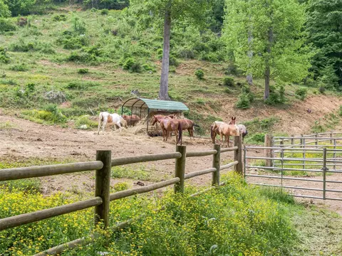 Settlement Way, Mars Hill, NC 28754 photo 12