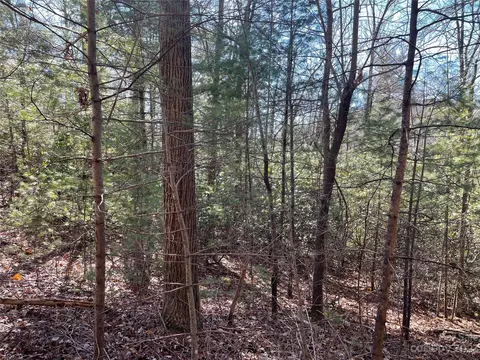 00 Willow Run 12 Ln #12, Zirconia, NC 28790