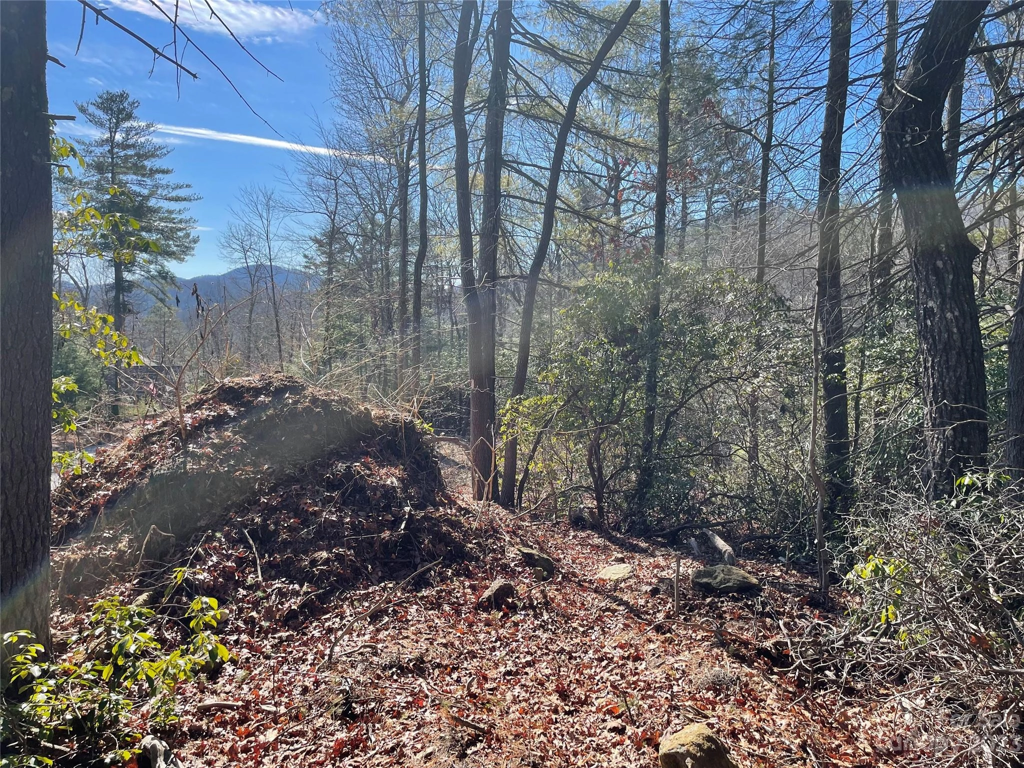 00 Willow Run 17 Ln Unit 17  