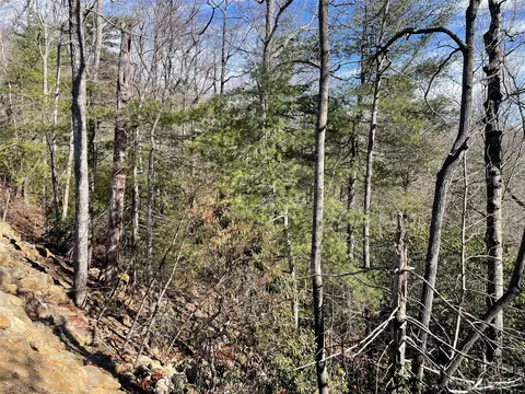 00 Willow Run 15 Ln #15, Zirconia, NC 28790