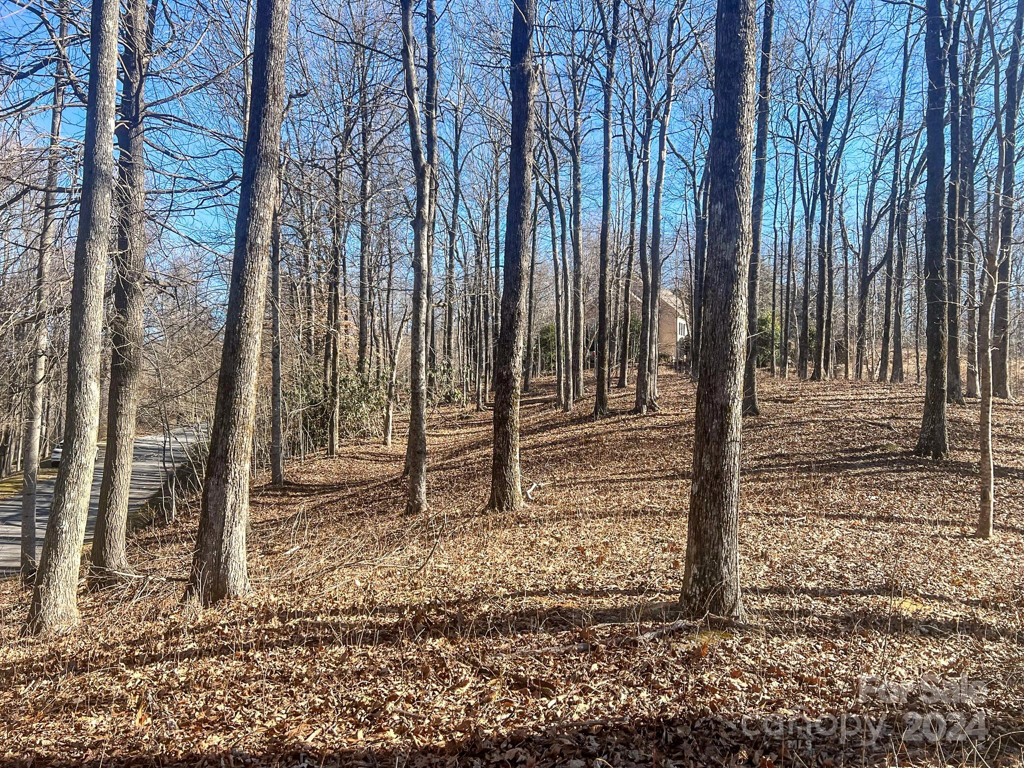 135 Corbin Mountain 85 Rd Unit 85  