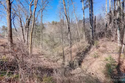 View/Area - 1603 Howard Gap Loop Rd, Flat Rock, NC 28731 photo 2 of 2