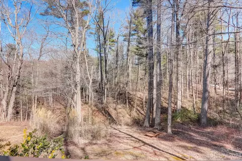 View/Area - 1603 Howard Gap Loop Rd, Flat Rock, NC 28731 photo 1 of 2