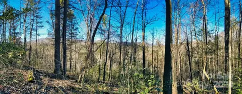 16 Bear River Lodge Trl, Madison, NC 28753