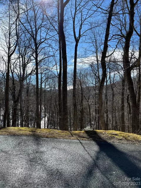 49 Wedgewood Ter, Black Mountain, NC 28711