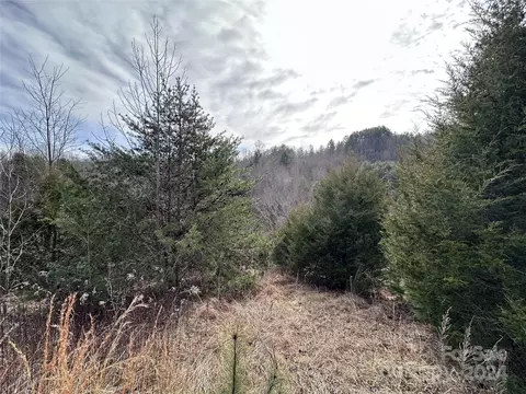 00000 Ramsey Chandler 14 Rd #14, Marshall, NC 28753