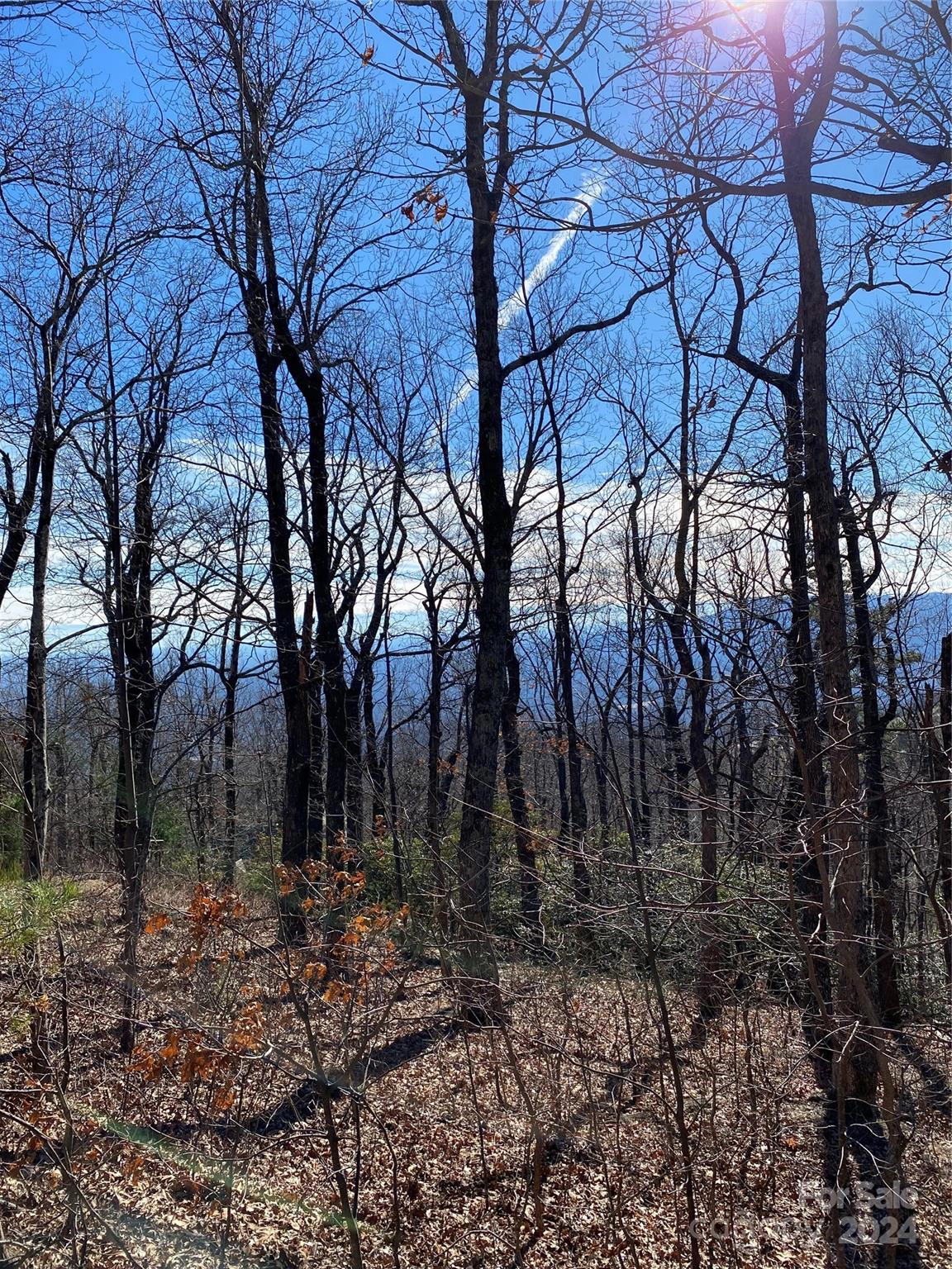 00 Morning Ride 36 Dr Unit 36  