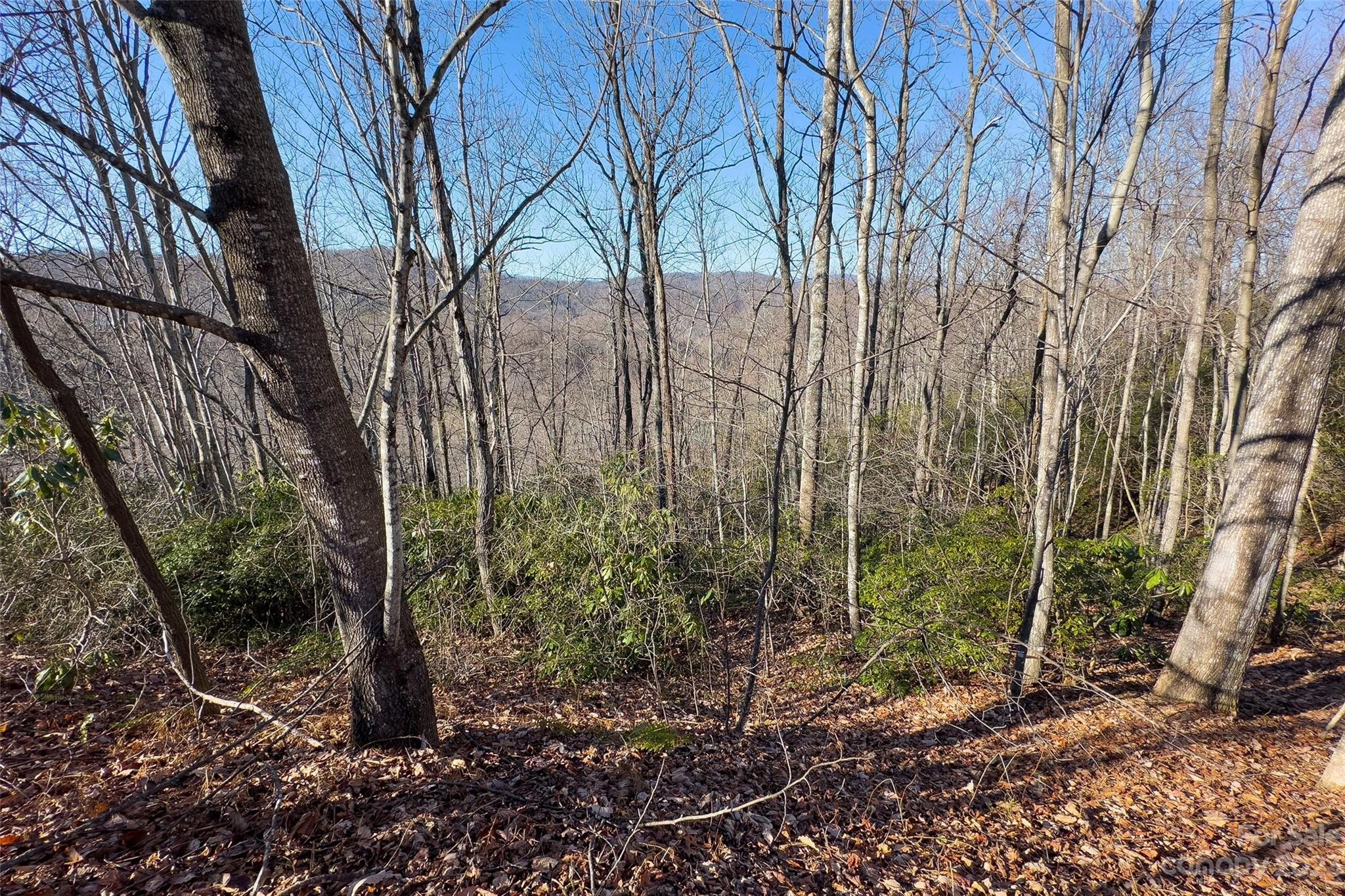 239 Fuji Falls 138 Trl Unit 138  