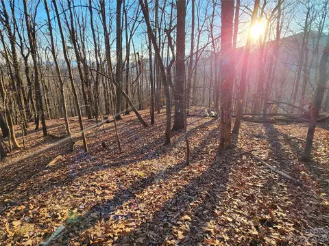 Youngs Mountain Drive, Lake Lure, NC 28746