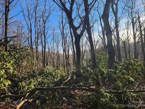 165 Glenmore 5 Ln #5, Blowing Rock, NC 28605