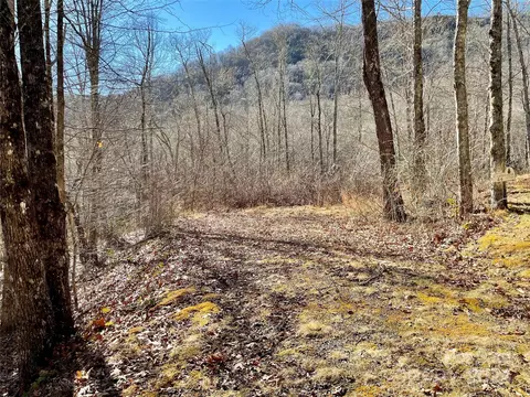 0 Deep Gap 44 Vw #44, Whittier, NC 28789