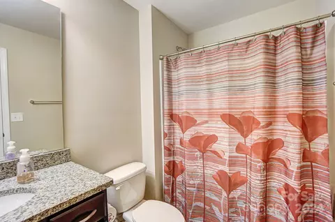 Bath - 156 Annatto Way, Tega Cay, SC 29708 photo 5 of 5