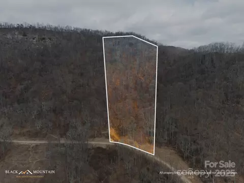 999 High Rock View 36 Dr #36, Canton, NC 28716