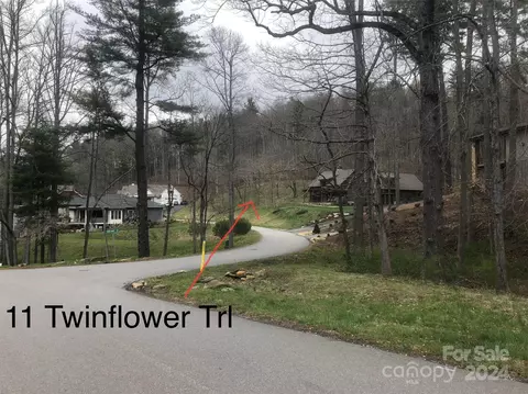 11 Twinflower Trl, Asheville, NC 28804