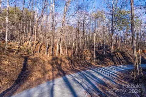 0 Capps Rd, Tryon, NC 28782 photo 12