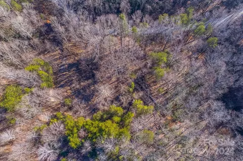 0 Capps Rd, Tryon, NC 28782 photo 6