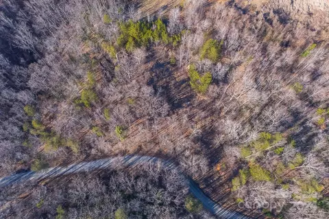 0 Capps Rd, Tryon, NC 28782 photo 3