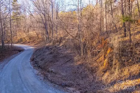 0 Capps Rd, Tryon, NC 28782 photo 16