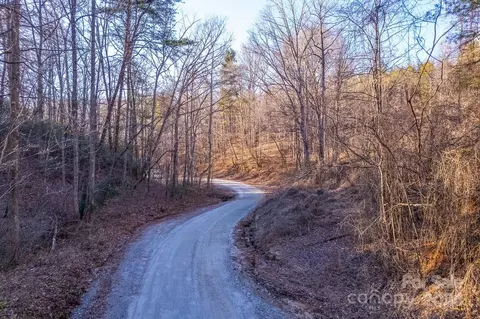 0 Capps Rd, Tryon, NC 28782 photo 17