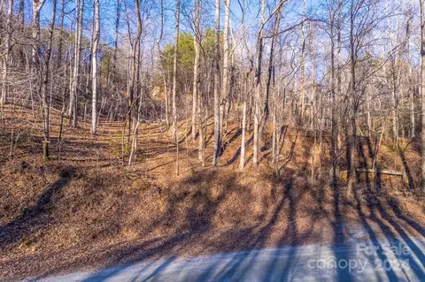 0 Capps Rd, Tryon, NC 28782 photo 11