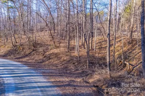 0 Capps Rd, Tryon, NC 28782 photo 14