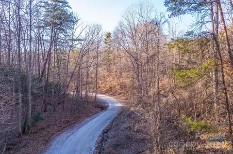 0 Capps Rd, Tryon, NC 28782 photo 18