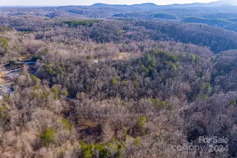 0 Capps Rd, Tryon, NC 28782 photo 9