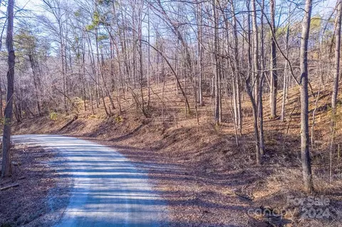 0 Capps Rd, Tryon, NC 28782 photo 15