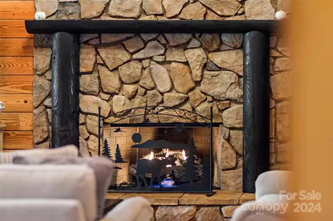 Living - 281 Canoe Dr, Mill Spring, NC 28756 photo 3 of 5