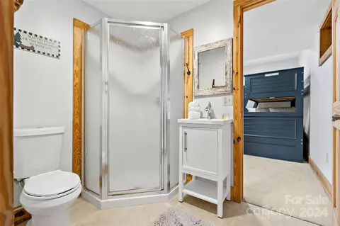 Bath - 281 Canoe Dr, Mill Spring, NC 28756 photo 4 of 4