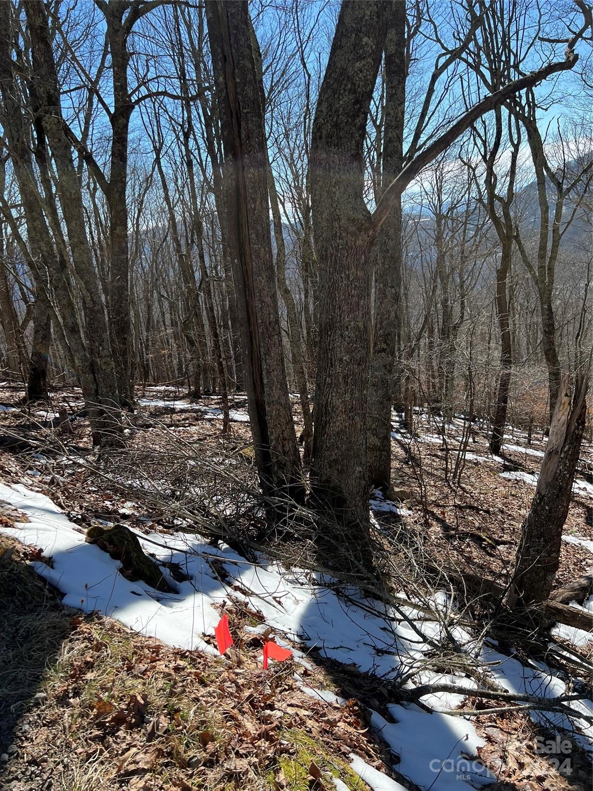 00 Tearshirt 316 Ln Unit 316  